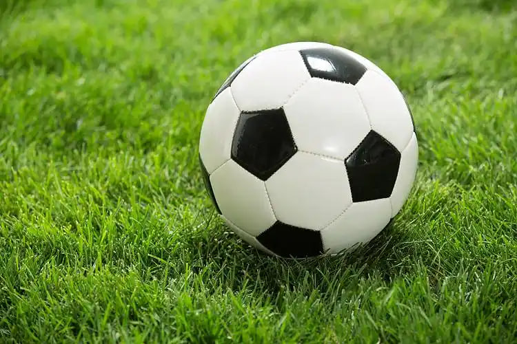 媒体从业者使用场景